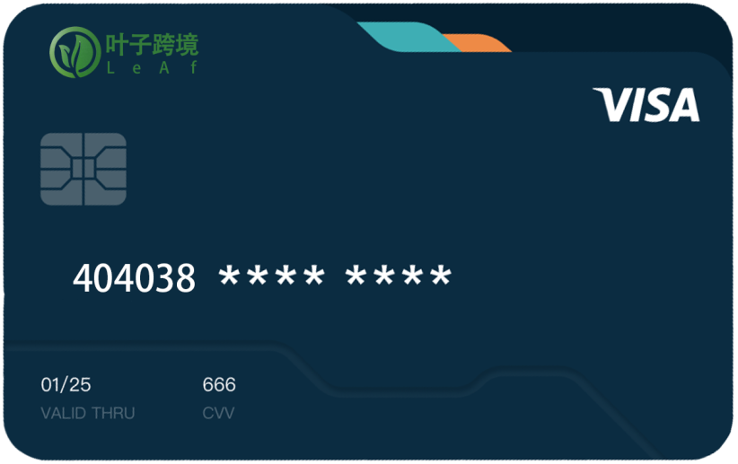 美国 VISA 卡